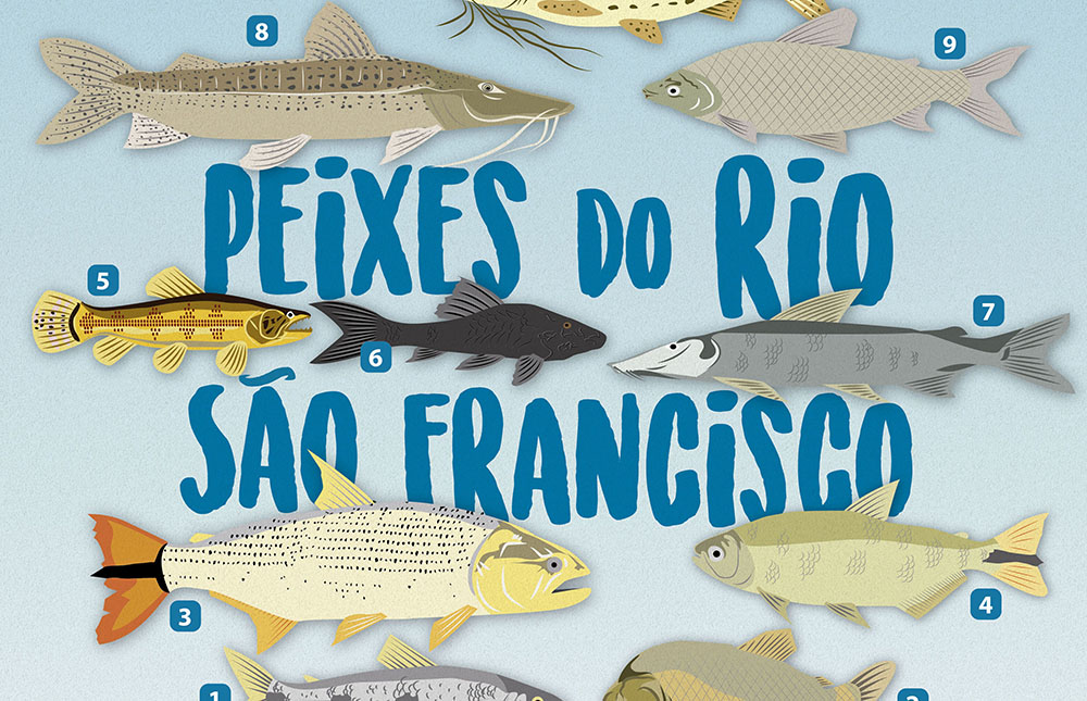 Peixes do Rio São Francisco (ictiofauna)