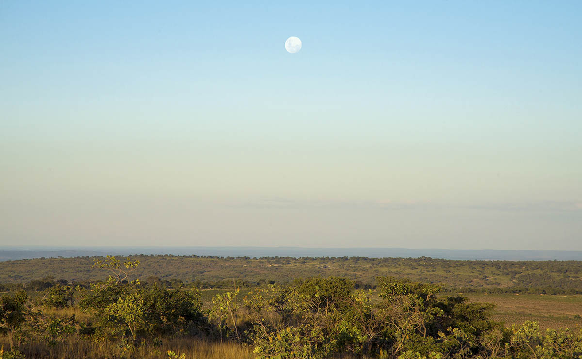 Desmatamento do Cerrado aumenta a conta de luz